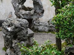 -东山雕花楼