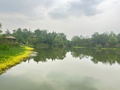 -桤木河湿地公园