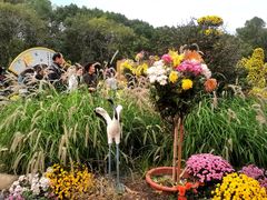 -共青国家森林公园-售票处