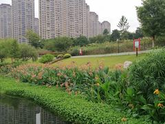 -那考河湿地公园