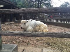 -昆明动物园