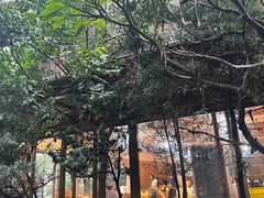 -大笑饭堂(甲子桥店)