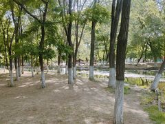 -长白岛森林公园