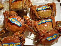 -可可大虾武汉土菜大排档(万松园1店)