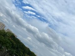 -贡湖湾湿地公园