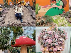 -正佳雨林生态植物园