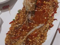 -杨氏青龙虾·羊蝎子(托乐嘉店)