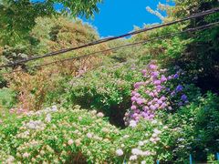 -灌篮高手动画打卡地