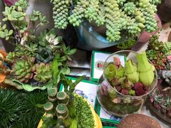 -双季花艺园艺市场(浦东店)