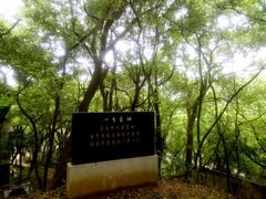 -马王堆汉墓遗址