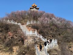 -荆紫仙山景区票务中心