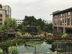 -昆明洲际酒店