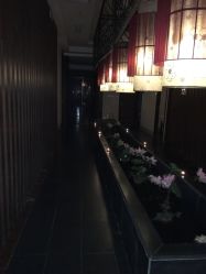 -诗泥SPA