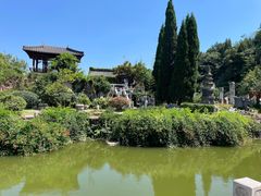 -徐州龟山景区