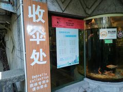 -青青世界