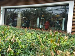-麦当劳(曲阳店)