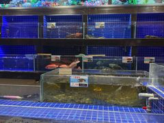 -粤珍轩.创始店.始于2001(含光门店)