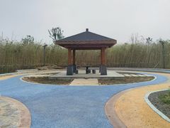 -毛遂公园