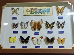 -上海大自然野生昆虫馆(东方明珠·爬宠昆虫探索中心)