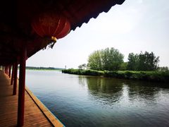 -滕州微山湖红荷湿地景区