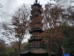 -上海佘山国家森林公园西佘山园