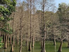 -广州市白云山风景名胜区