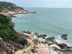 -广东惠东海龟国家级自然保护区