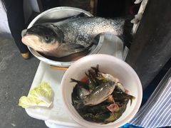 -下塘街25号农家菜馆(新场店)