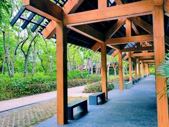 -深圳湾公园(南山区)