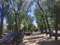 -圆明园停车场