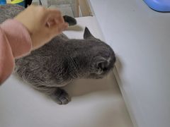 -谐和贝康宠物医院24小时·宠保定点(急重症转诊中心)