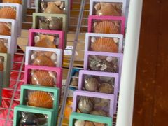 -蓝湾碧波·老字号·疍家非遗海上餐厅