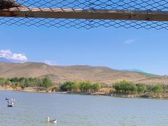 -新疆天山野生动物园