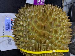 -山姆会员商店(上海浦东店)