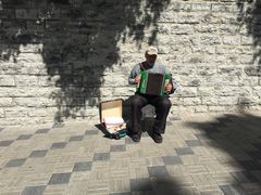 -塔林历史中心