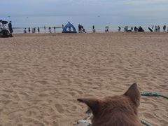 -日照灯塔风景区