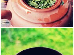 -大唐贡茶院