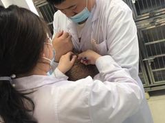 -邢大夫动物医院