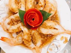 -田螺阿姨自营月嫂·育儿嫂(高新店)