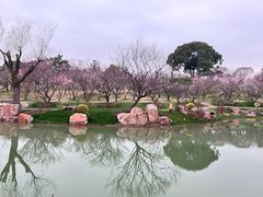 -无锡梅园公园