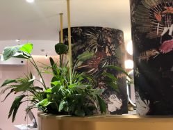 -本小姐美学·半永久纹眉野生眉