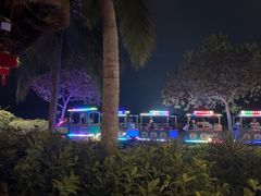 -渔家火锅·海鲜自助餐·演艺(亚龙湾天域酒店)
