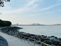 -上海滨江森林公园