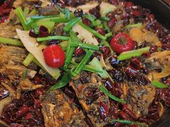 -老板恋上鱼(恒隆广场店)