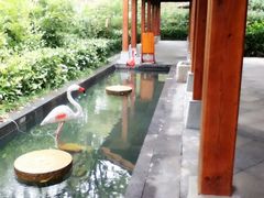 -天目湖御水温泉·度假酒店