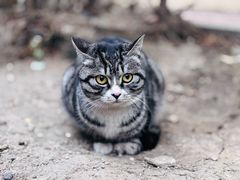 -起士林大饭店(小白楼店)