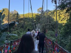 -西双版纳原始森林公园