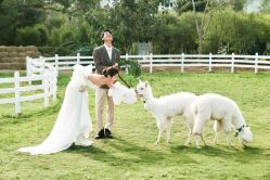 -经典婚纱摄影美学馆·私人定制