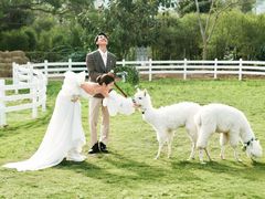 -经典婚纱摄影美学馆·私人定制