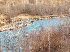 -莫尔道嘎国家森林公园